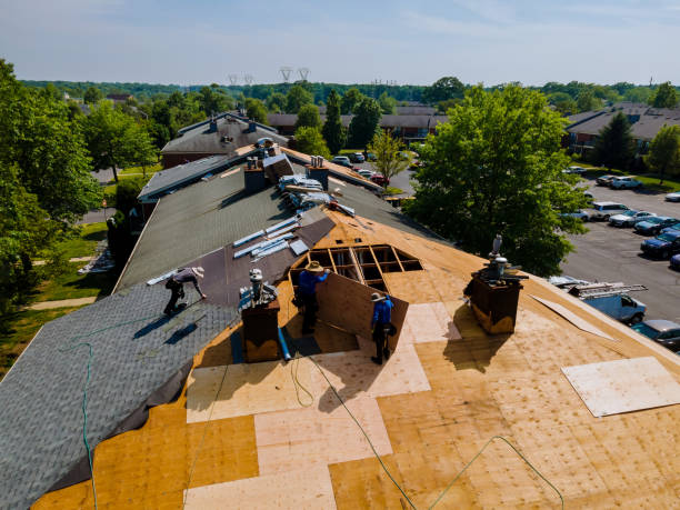 24/7 Emergency Roof Replacement experts in Robson, WV
